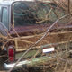 Illustration for article titled Please Help Me Decide If I Should Buy This 1979 Jeep Cherokee Golden Eagle